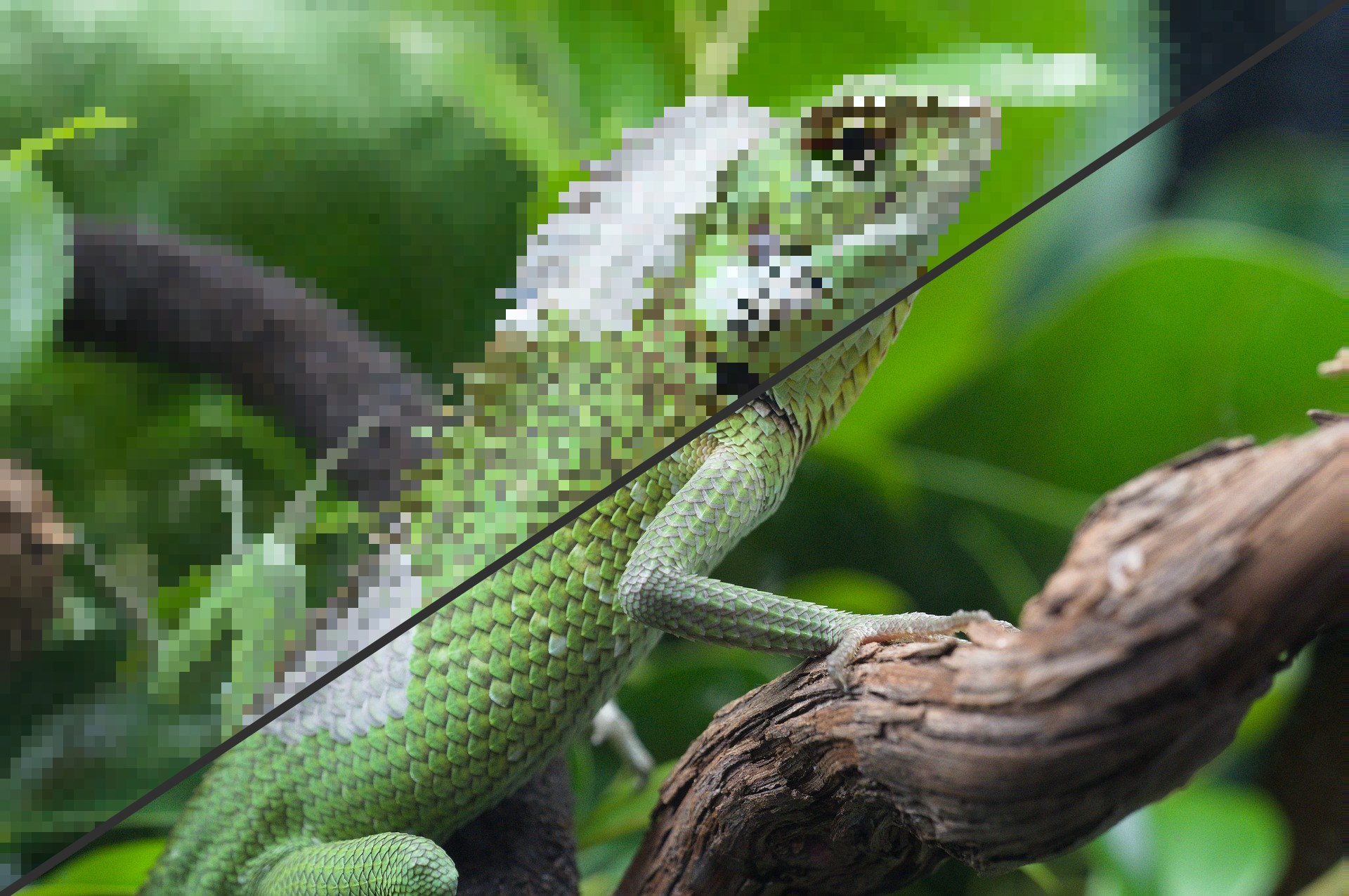 Pixel Snapper before and after example two